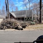 Tree Service Project
