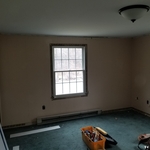 Home office and guest bedroom remodel