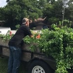 Cutting down the trailer