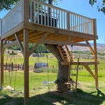 Finished product with swings skateboard swing rope climb and also have rock climbing going up the tree on the backside and installed a platform swing off the tall branch on backside of treehouse