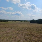 Mowing