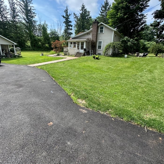Landscape renovation