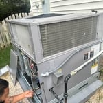 Fall Tune Ups