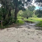 Driveways - Concrete Project
