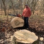 Tree Service Project