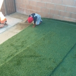 Turf and Walkway