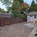 Juniper Removal