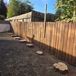 Juniper Removal