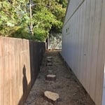 Juniper Removal