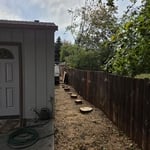 Juniper Removal