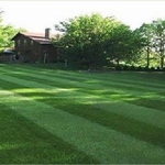 Nice Lawn