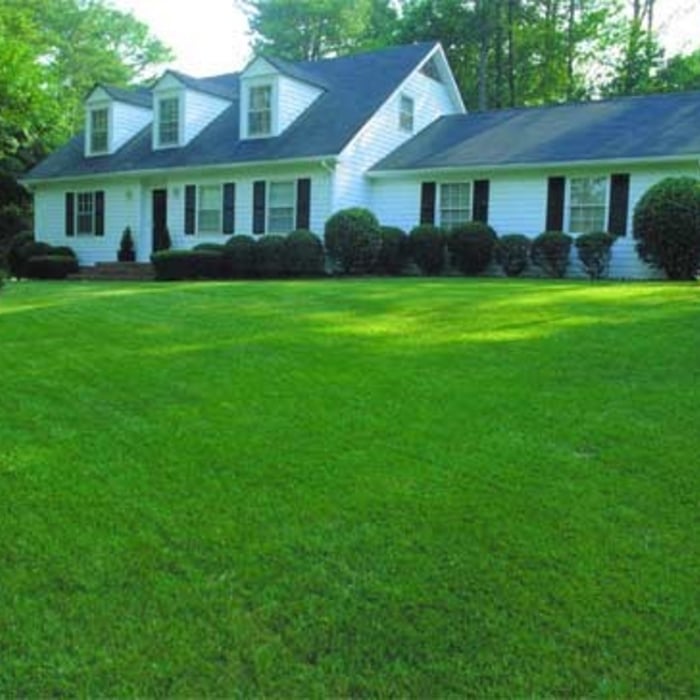 Another Nice Lawn