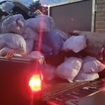 Waste Removal