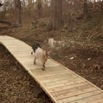 Deck Build
