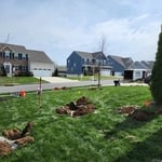 Irrigation Installation