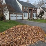 leaf pile