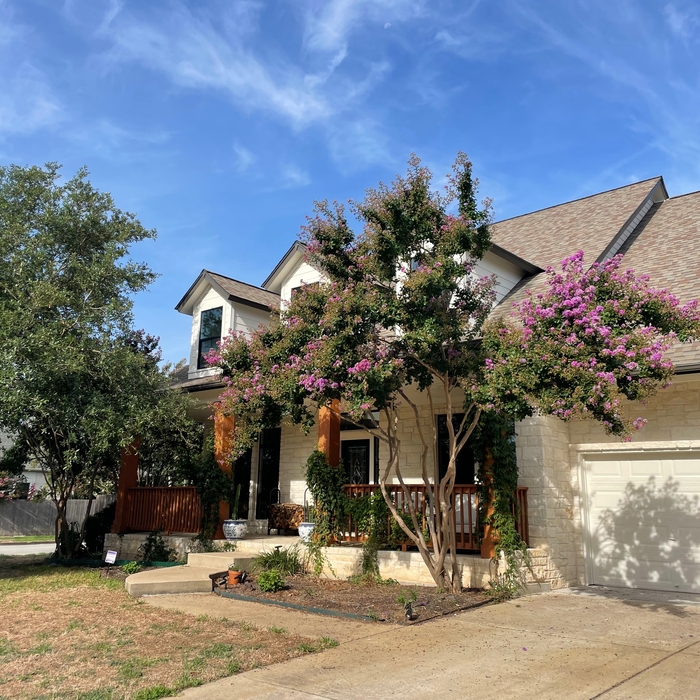 Exterior Repaint