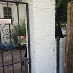 Painting - Exterior Project