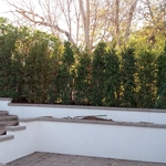 Landscaping Project
