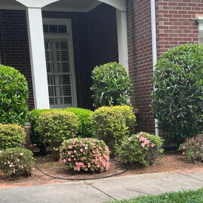 Additional Photos