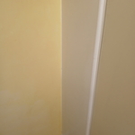 Paint full interior