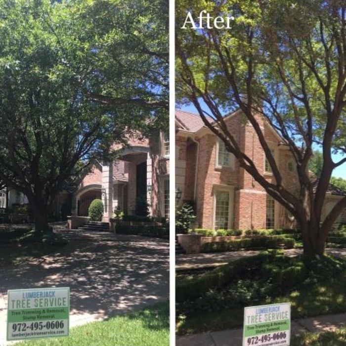 Tree Trimming