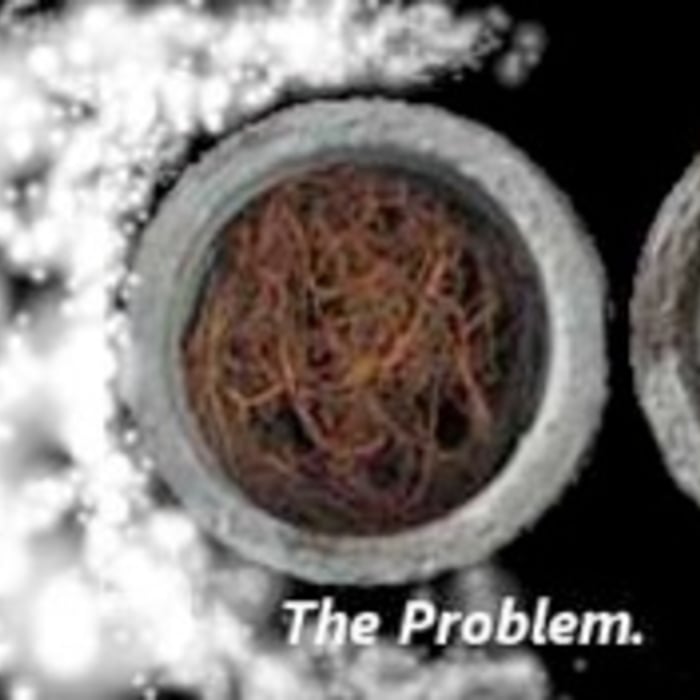 Tree roots giving you problems with your drains? Have us come out today and try a Rootx root treatment !