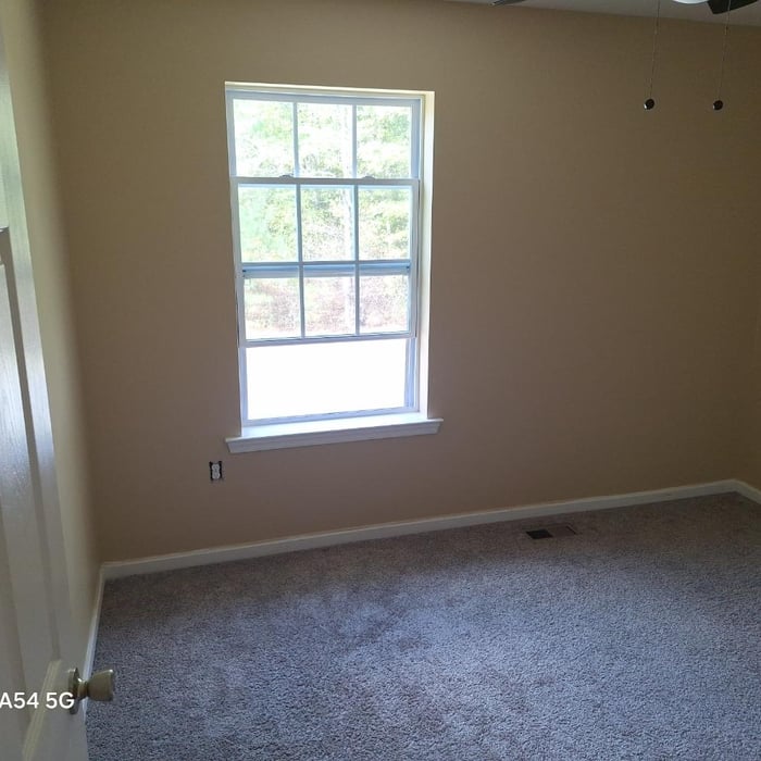 Painting 3000sft home