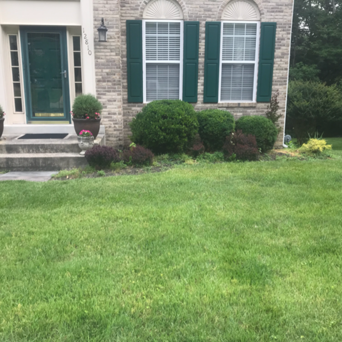 Additional Photos