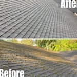 Roof Cleaning