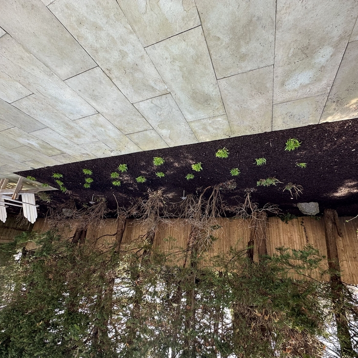 Landscaping Project