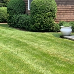trimming