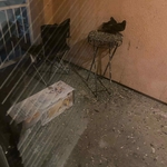 Pigeon poopy patio!