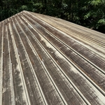 Mildewed roof