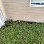Before picture 1
