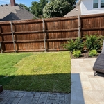 New Pool Landscaping