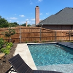 New Pool Landscaping