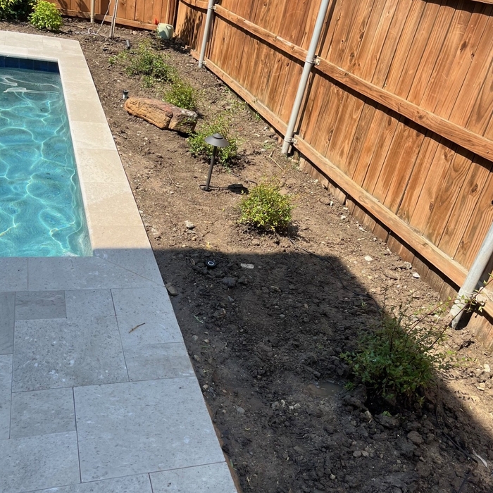 New Pool Landscaping