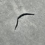 A small incision can lead to water damage inside
