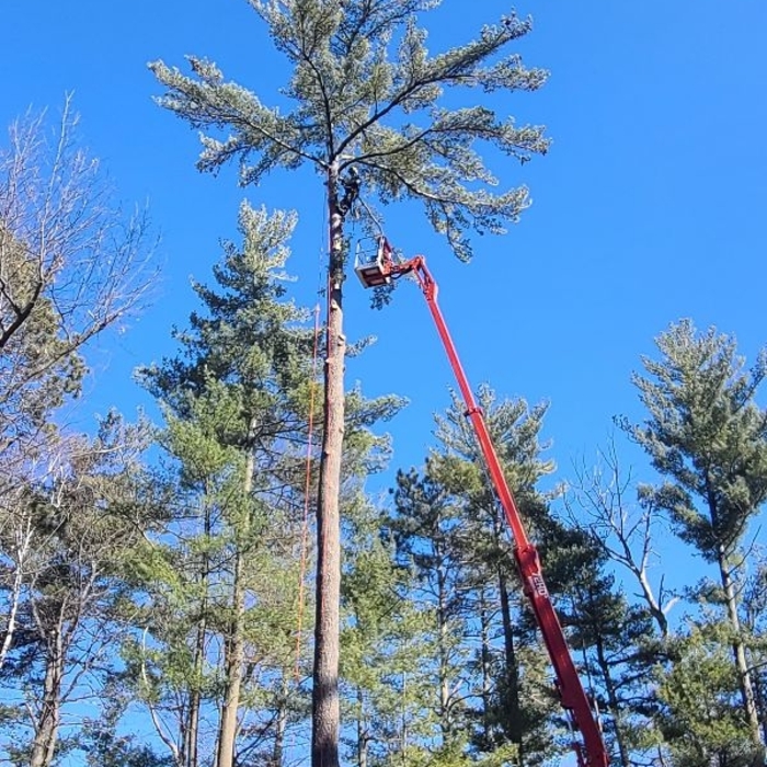Additional Photos