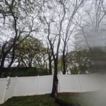 Tree Service Project