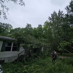 Tree Service Project