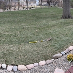 Photo of the backyard. We had a cobblestone trim kit as a border edge. My firm likes the look of the cobblestone as an edger. It is cheap and easy to install. That is 800 rolls of sod. Huge yard.
