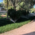 Irrigation Project