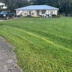 Front yard, still green and healthy in mid December