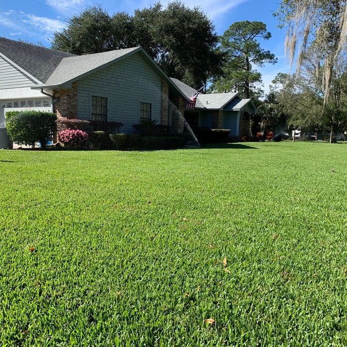 Rotors watering St Augustine turf