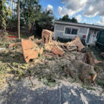 Large Tree Removal
