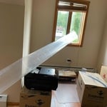 Mold Testing & Remediation Project