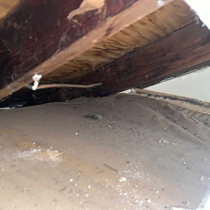 Mold Testing & Remediation Project