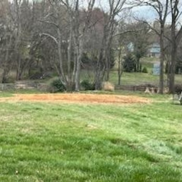 Landscaping Project